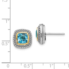 Sterling Silver 14K Accent Blue Topaz Earrings for Women