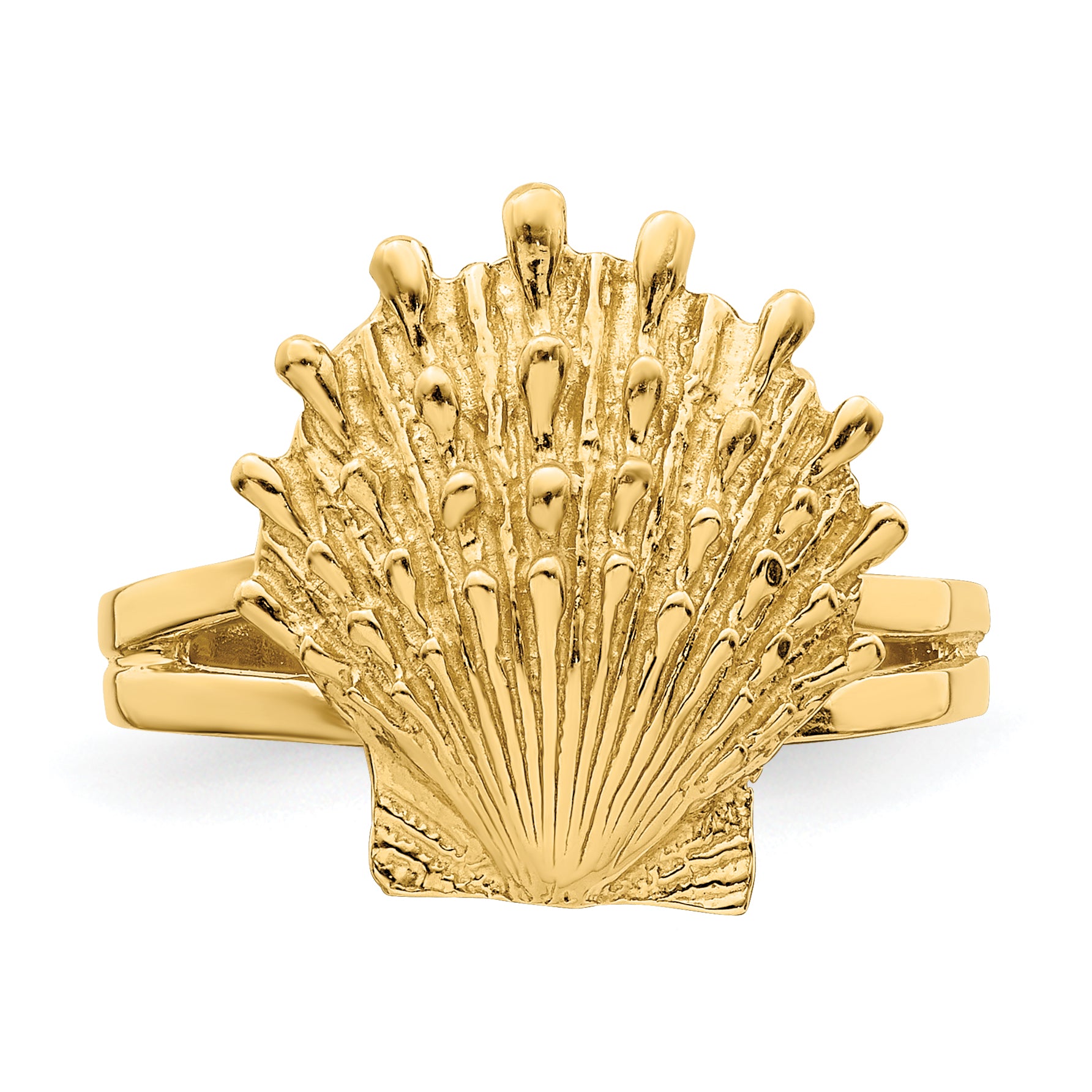 14K Lion's Paw Shell Ring