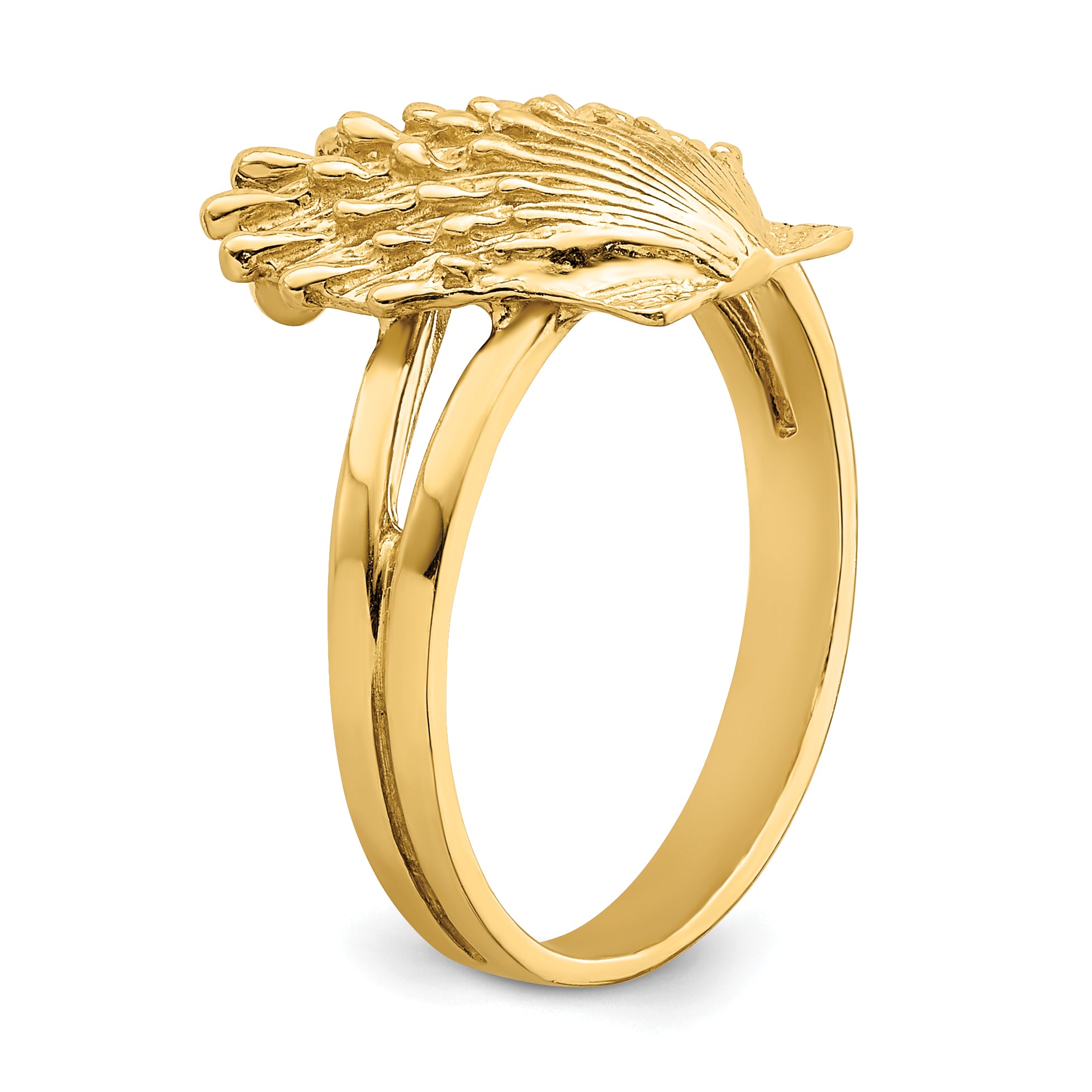 14K Lion's Paw Shell Ring