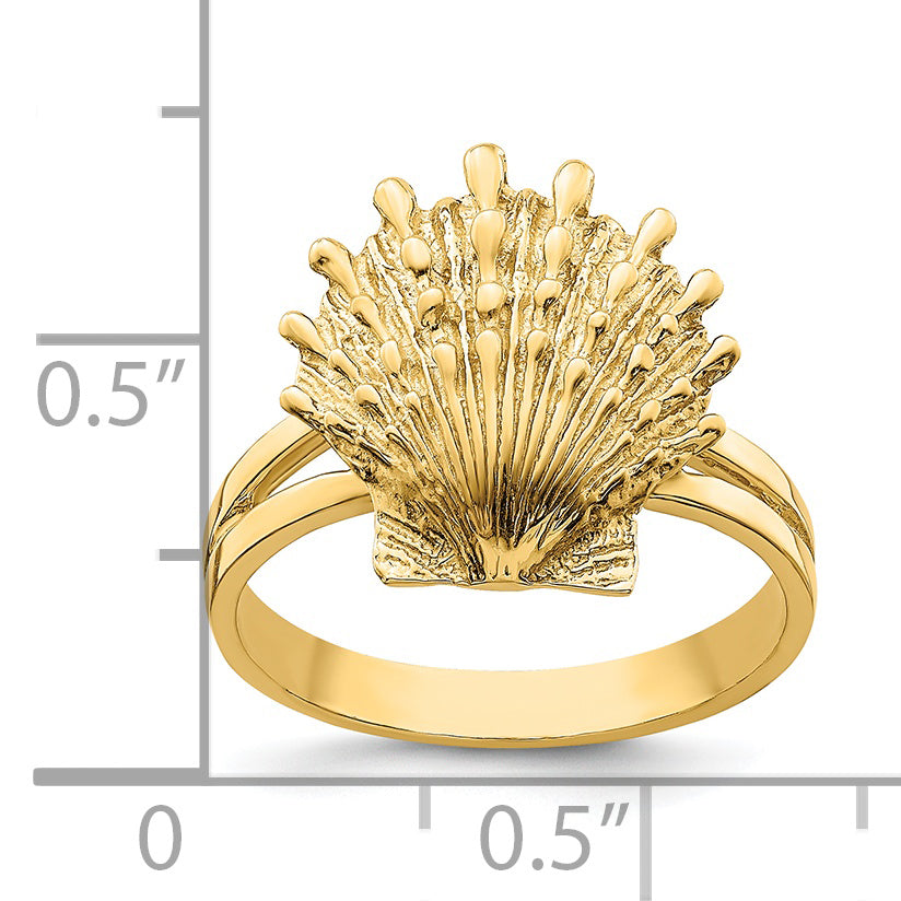 14K Lion's Paw Shell Ring