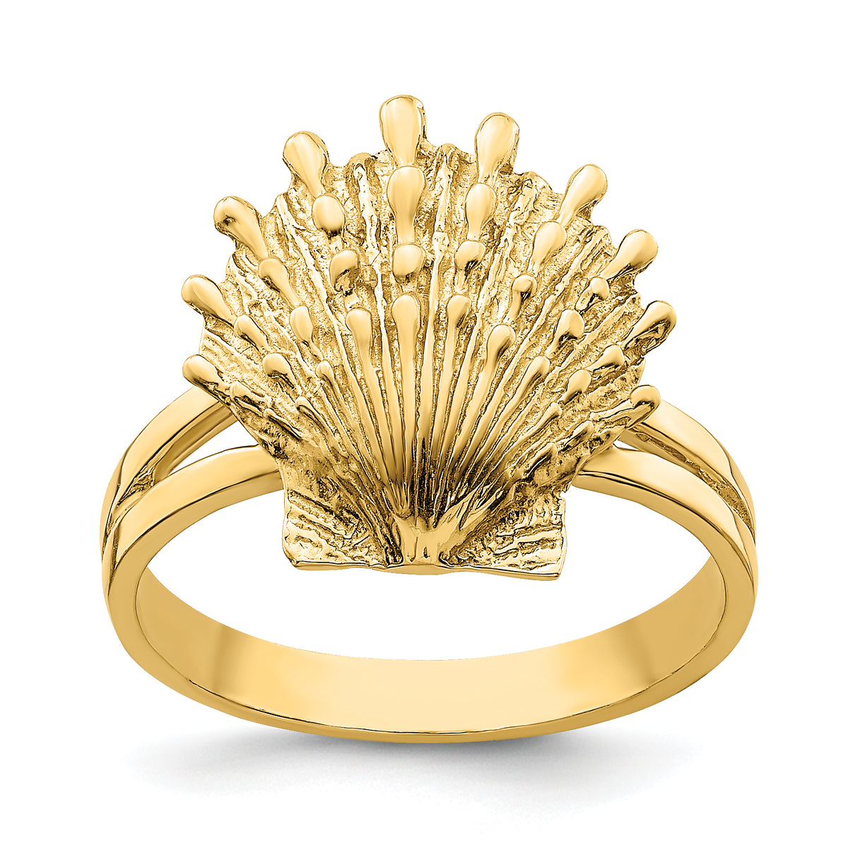 14K Lion's Paw Shell Ring