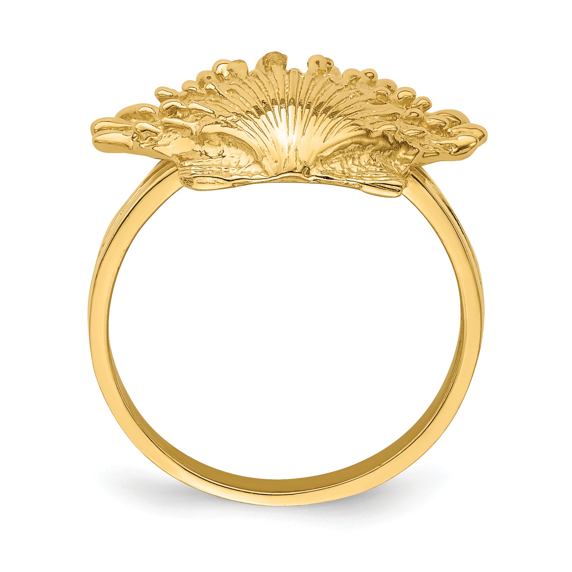 14K Lion's Paw Shell Ring