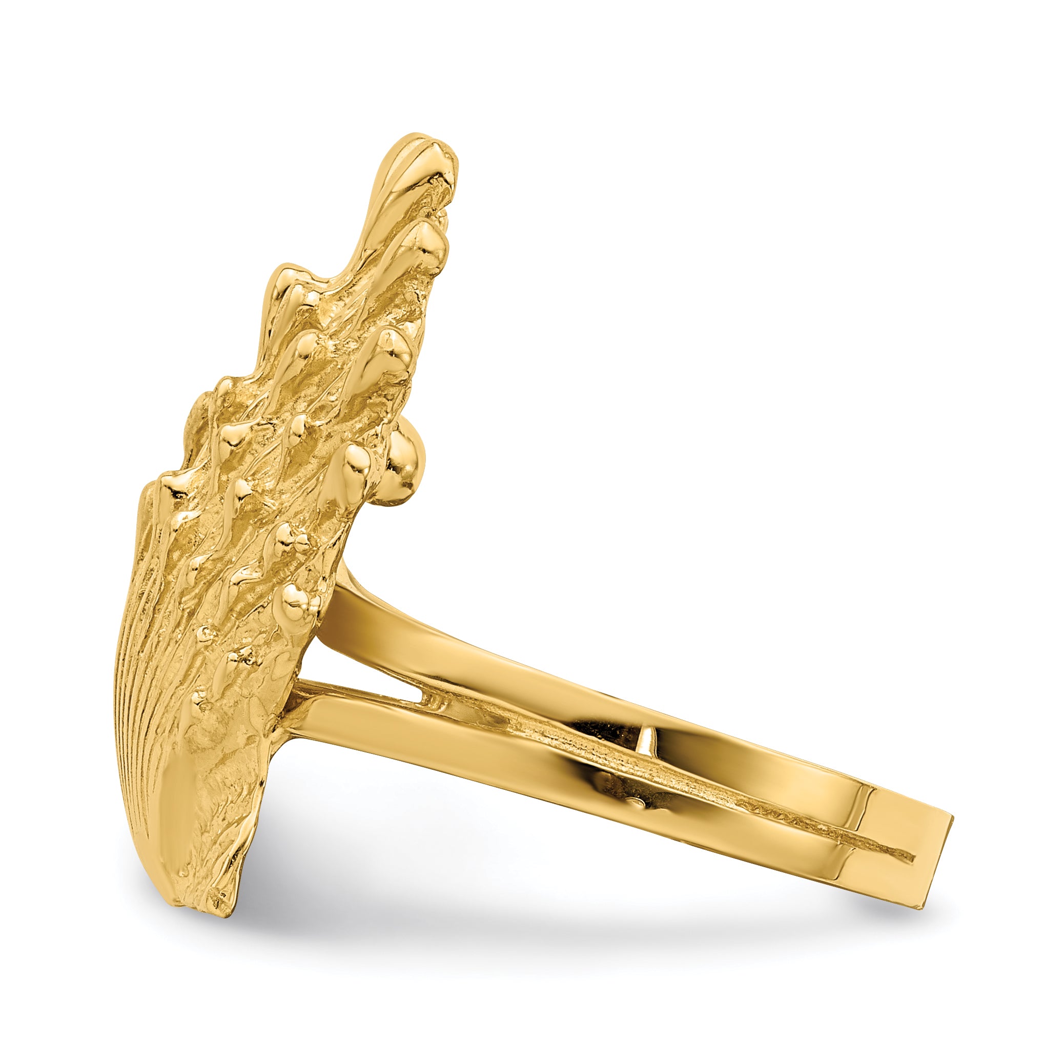 14K Lion's Paw Shell Ring