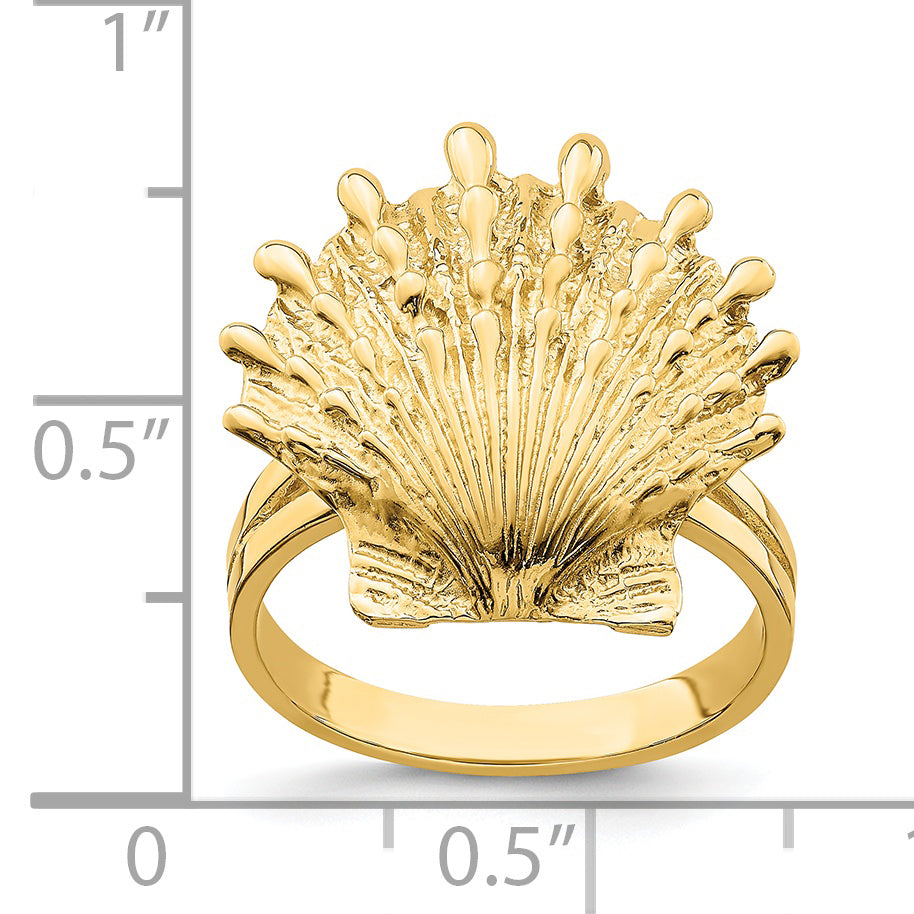 14K Lion's Paw Shell Ring