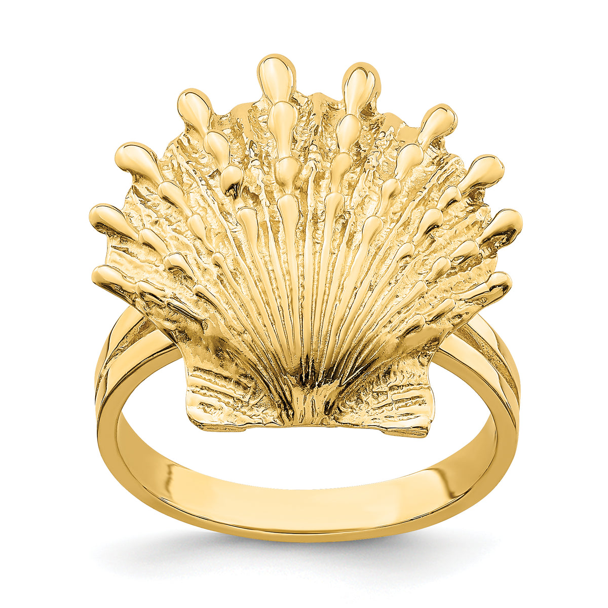 14K Lion's Paw Shell Ring