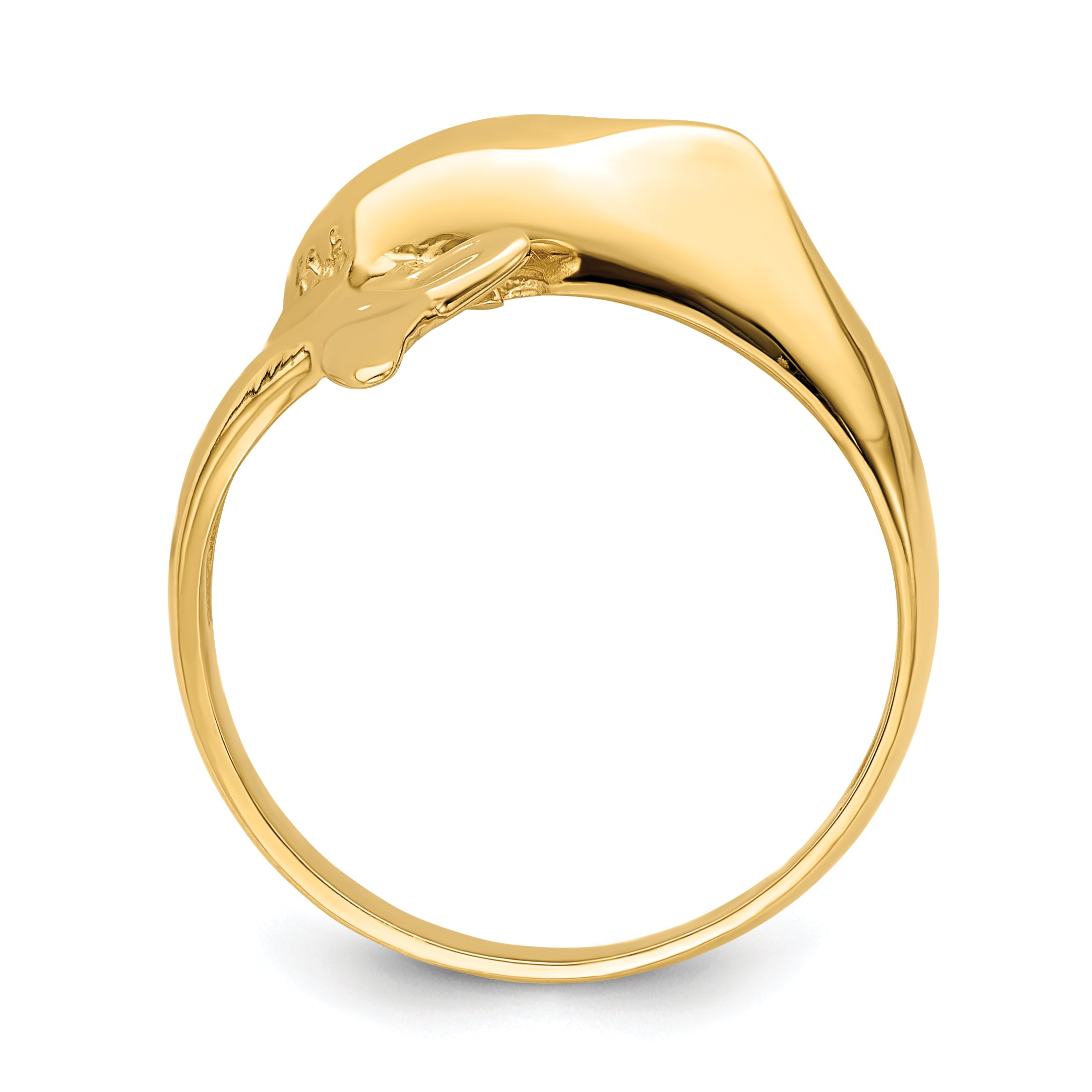 14k Polished Dolphin Ring