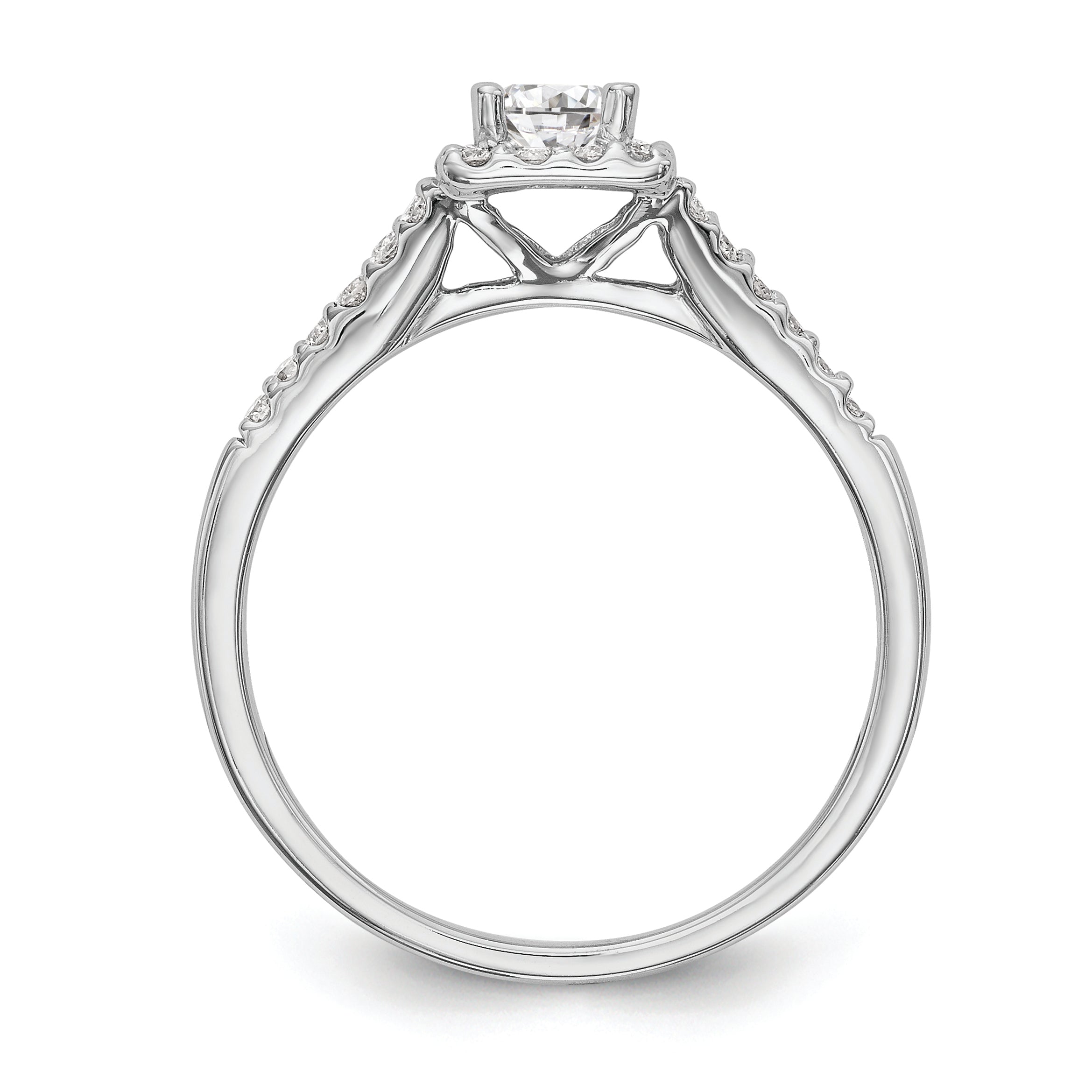 14K White Gold Halo Plus (Holds 1/3 carat (4.00mm) Princess Center) 1/4 carat Diamond Semi-Mount Engagement Ring