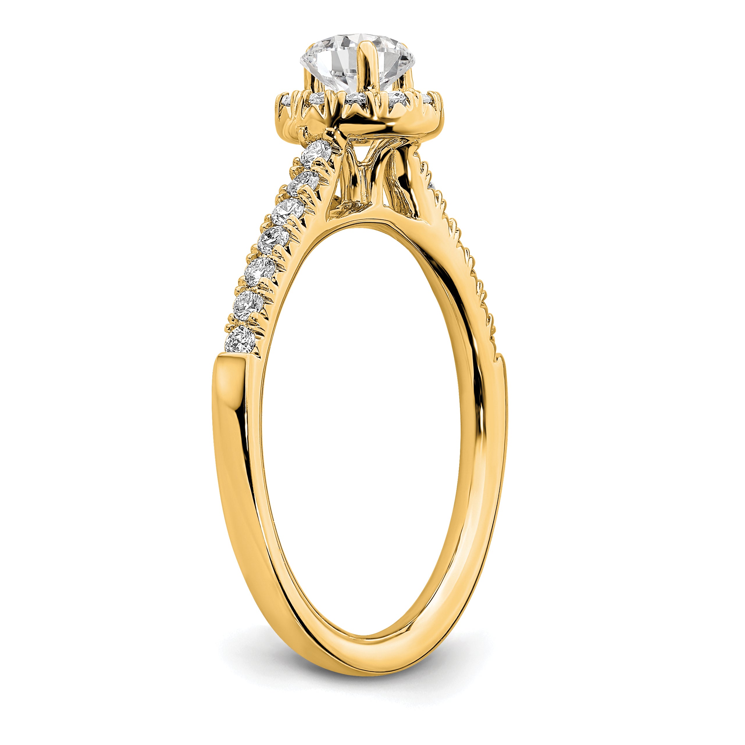 14K Eternal Promise Lab Grown Diamond Halo Complete Ring