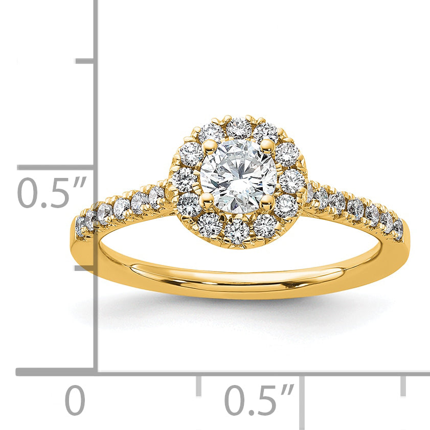 14K Eternal Promise Lab Grown Diamond Halo Complete Ring