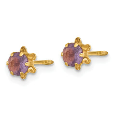 14K Gold February Birthstone Earrings with Purple CZ Studs