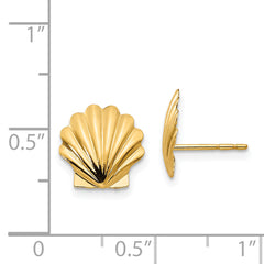 14k Madi K Shell Post Earrings