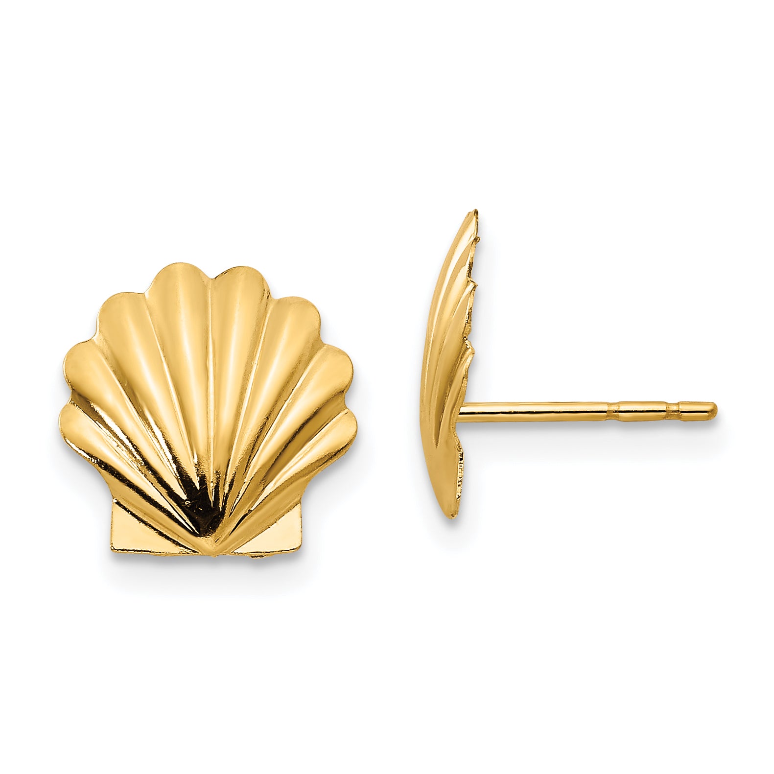 14k Madi K Shell Post Earrings