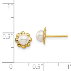 14K Madi K 4-5mm White Button Freshwater Cultured Pearl Post Earrings