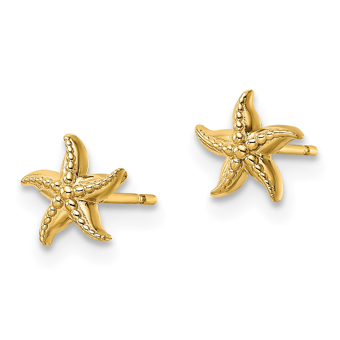 14k Madi K Starfish Post Earrings