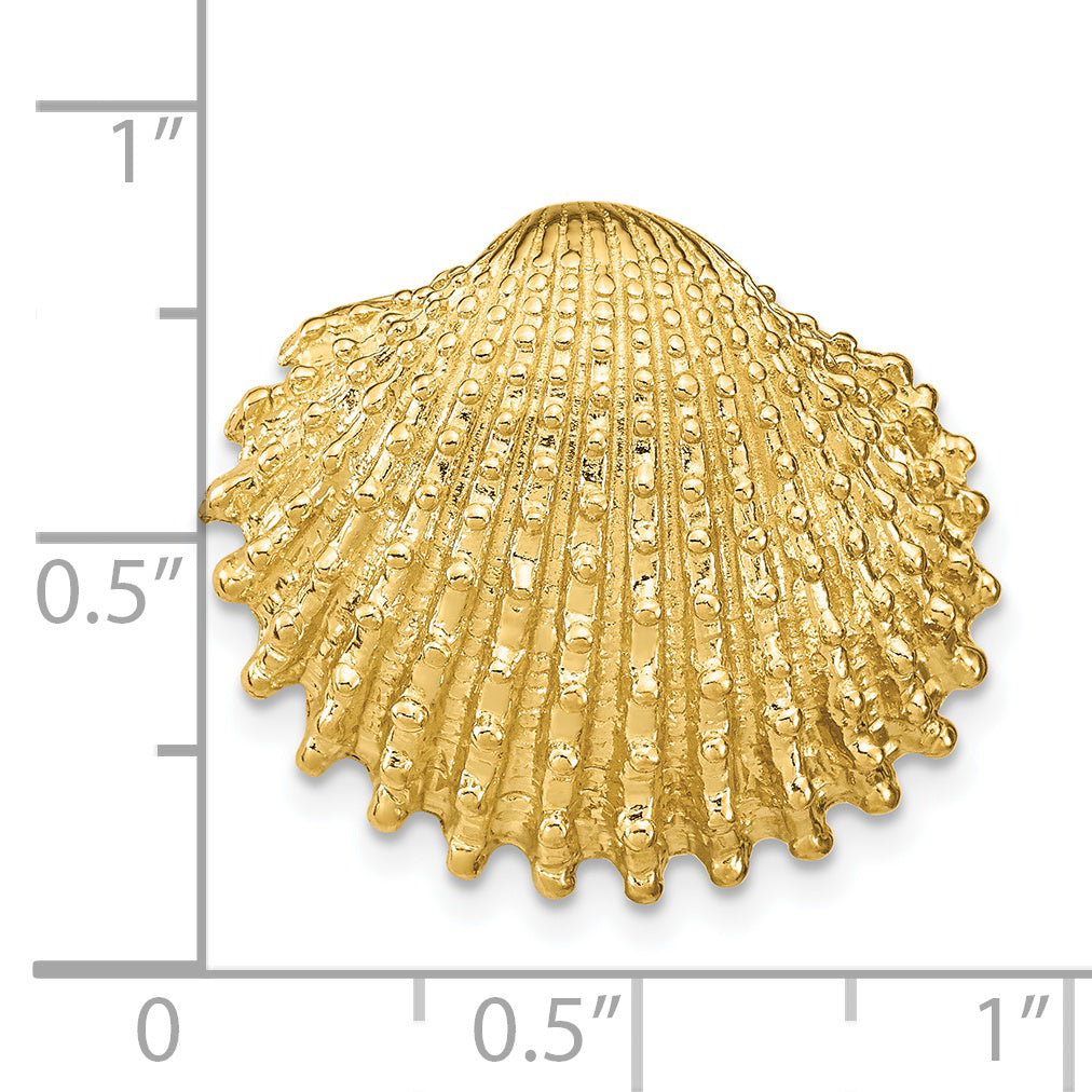 14k Scallop Shell Slide