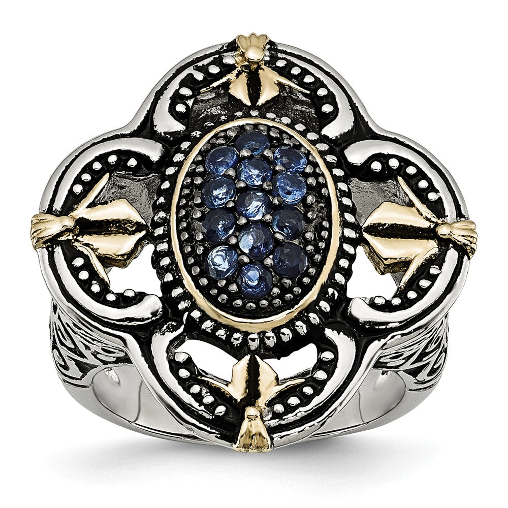 Sophia Jewelers Stainless Steel Ring with Blue Glass & Gold Accent