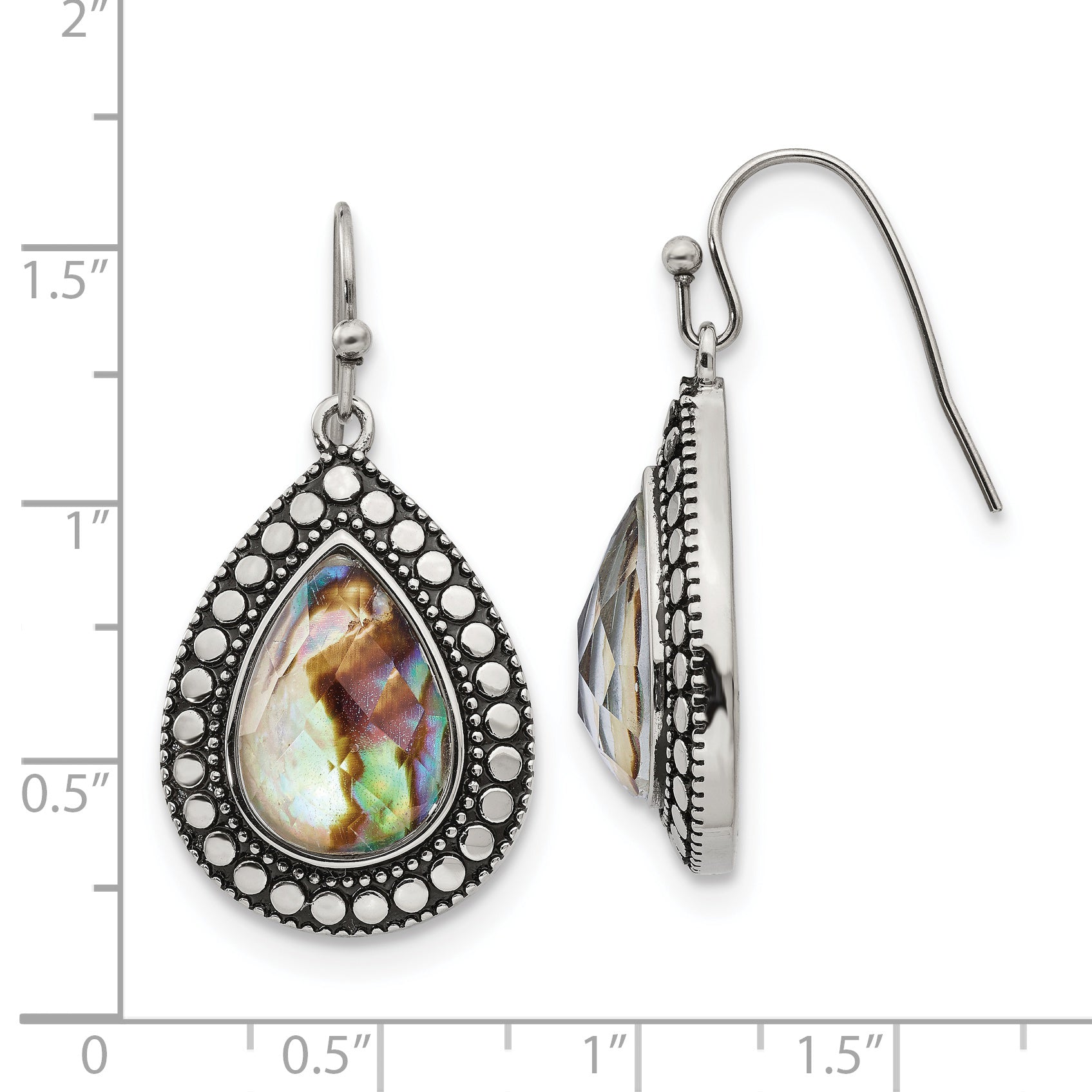 Stainless Steel Women's Dangle Earrings with Polished Antique Abalone