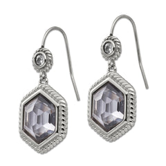 Sophia Jewelers Stainless Steel Drop Earrings with Grey Glass & CZ