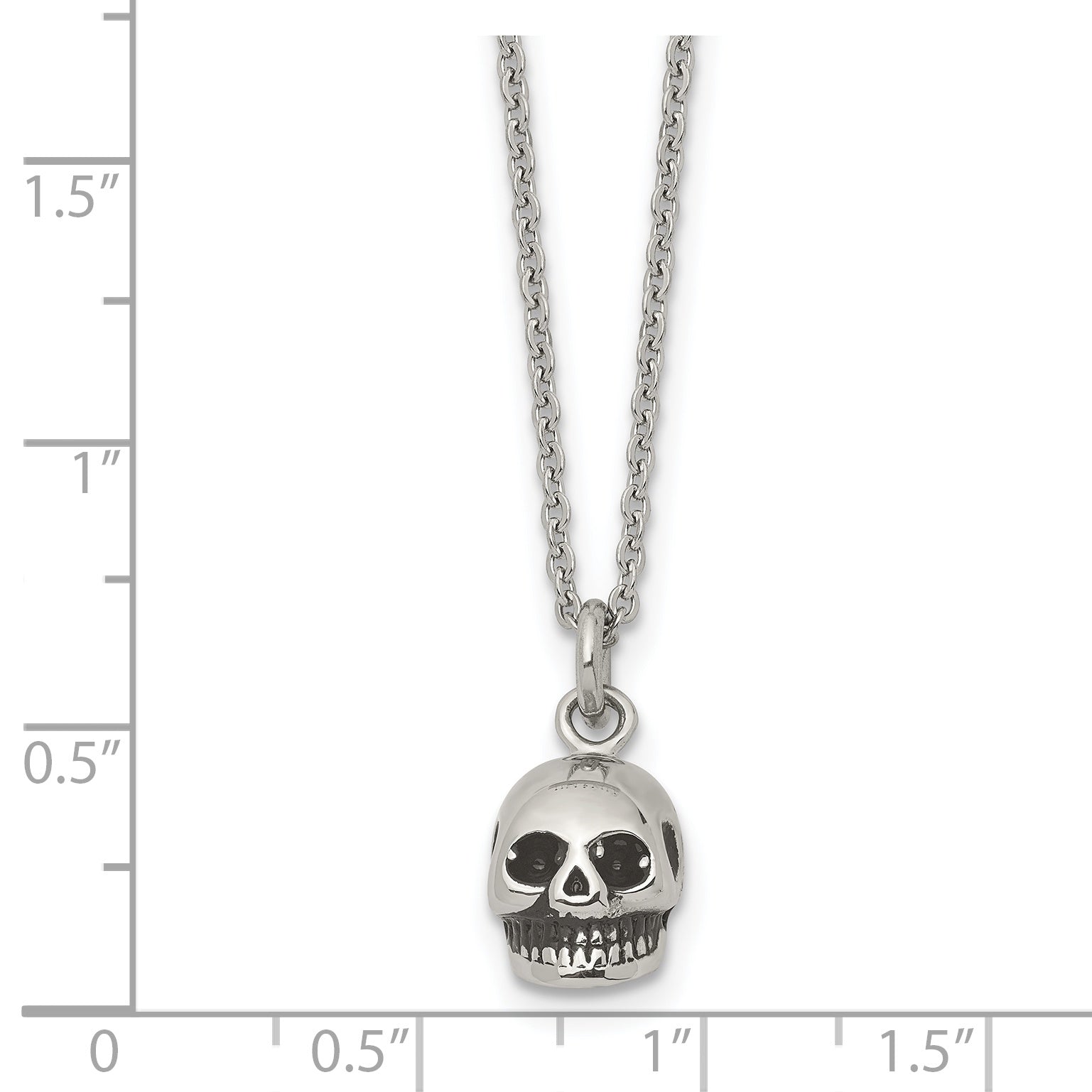 Stainless Steel Polished and Antiqued Skull 19in Necklace