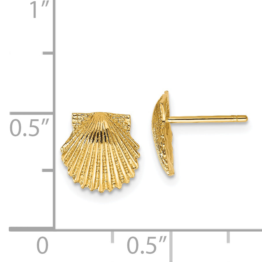 14k Scallop Shell Post Earrings