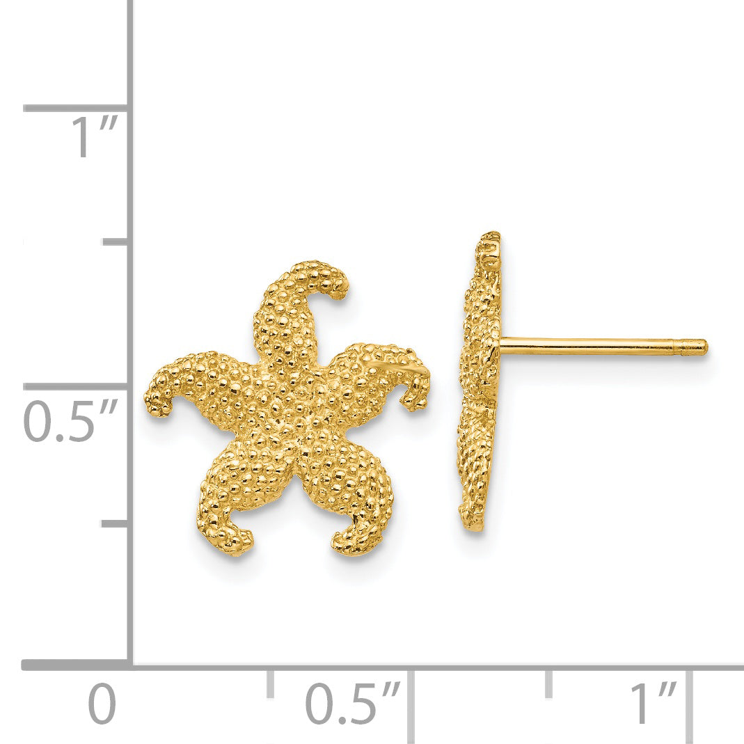 14k Starfish Post Earrings