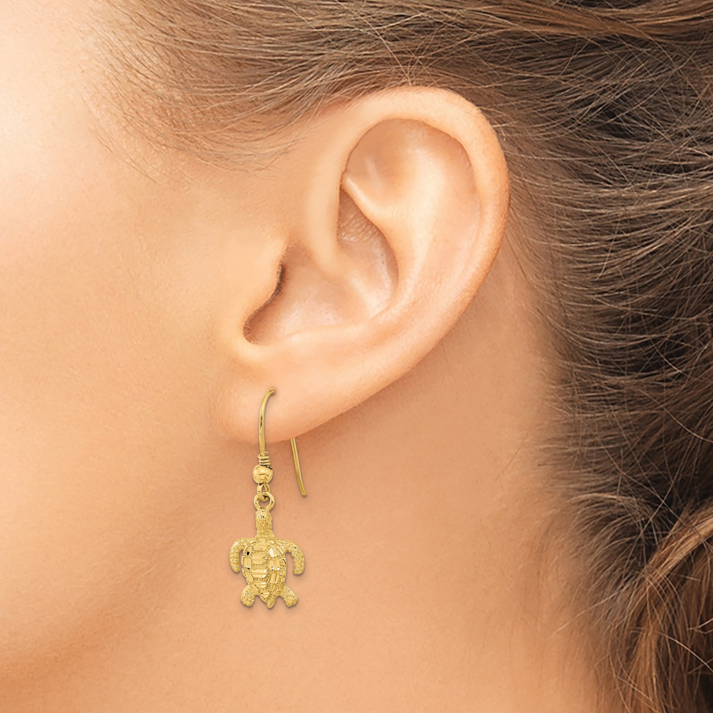 14k Polished & Textured Diamond-cut Turtle Shepherd Hook Earrings