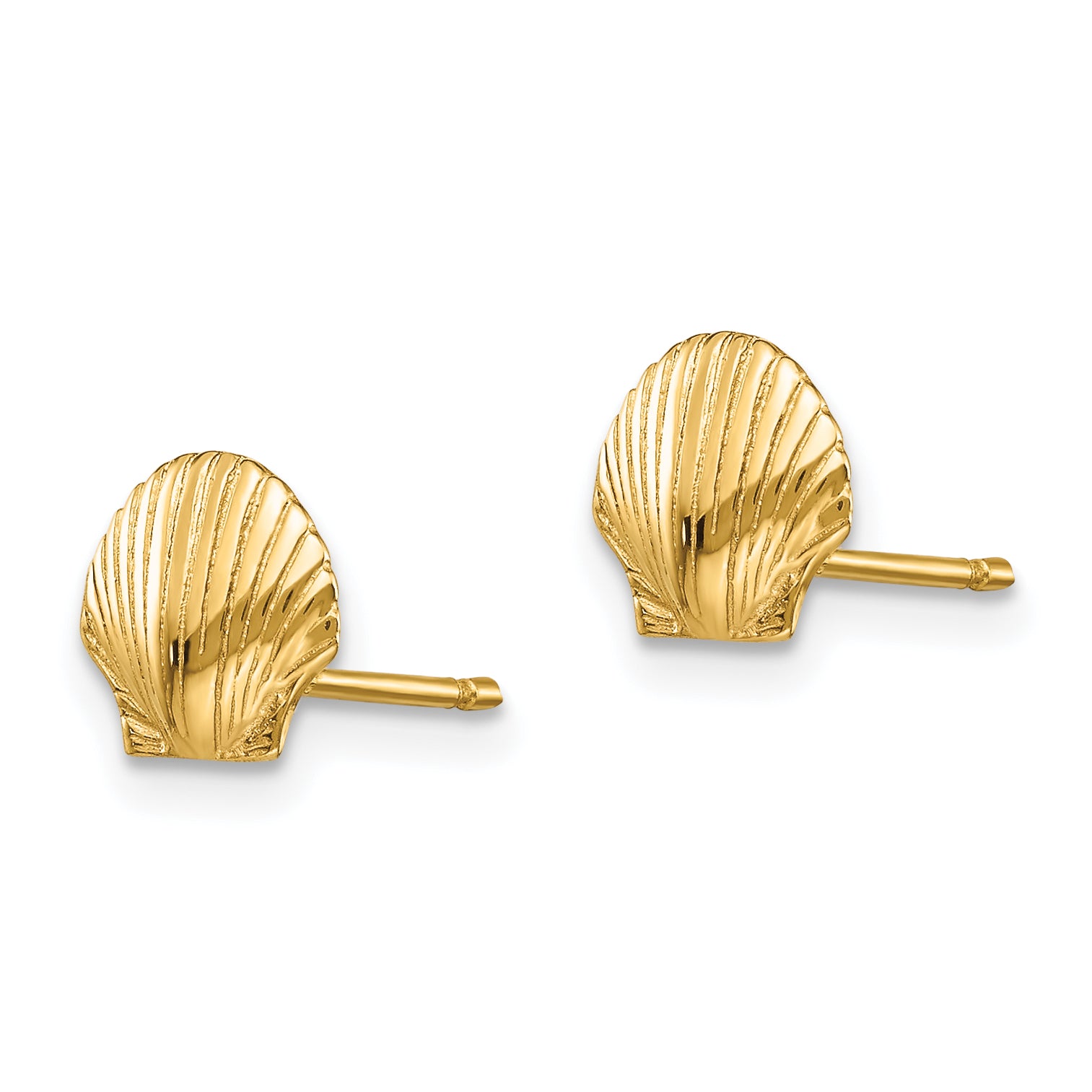 14k Mini Scallop Shell Post Earrings