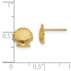 14k Scallop Shell Post Earrings