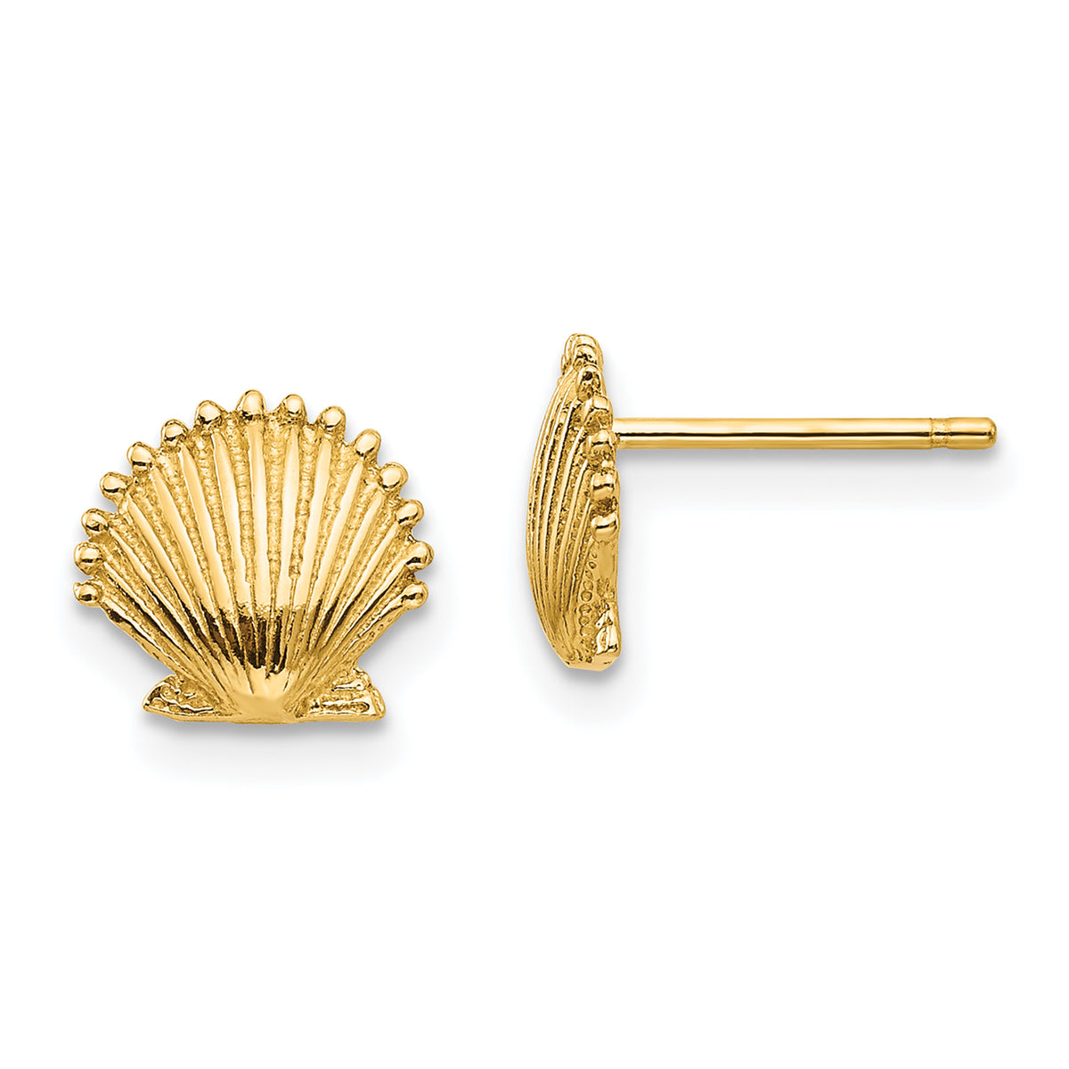 14k Scallop Shell Post Earrings