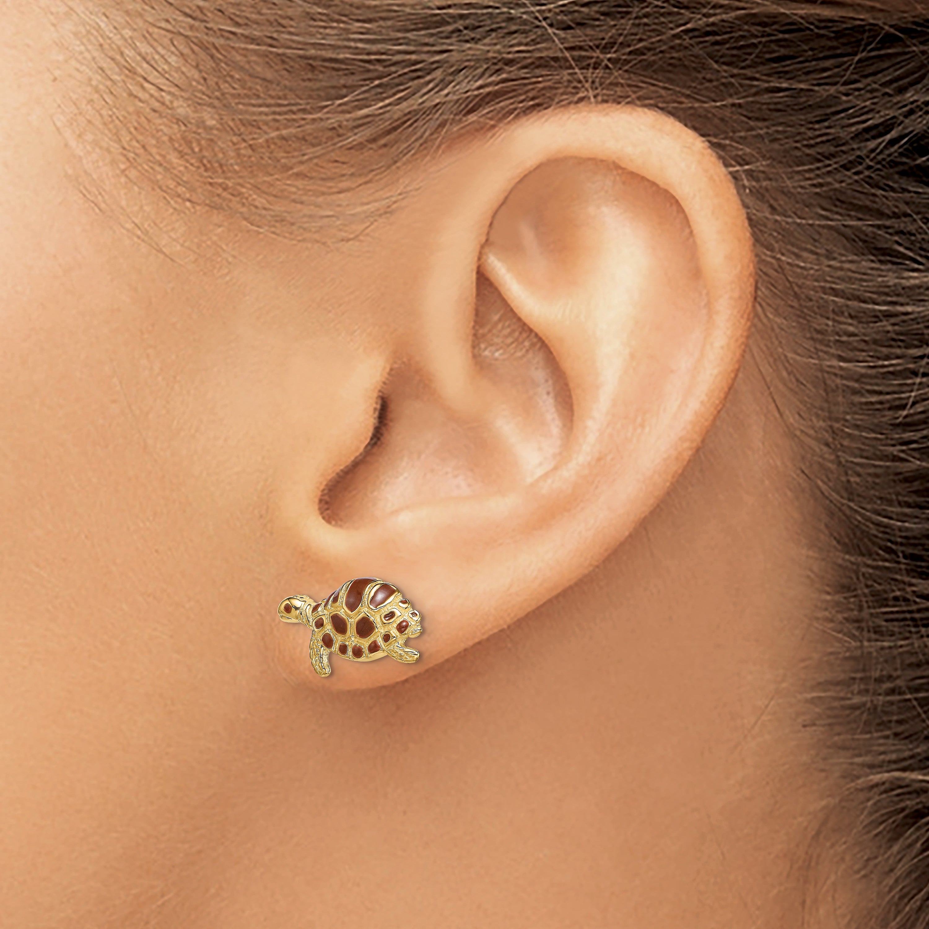 14k Brown Enamel Turtle Post Earrings