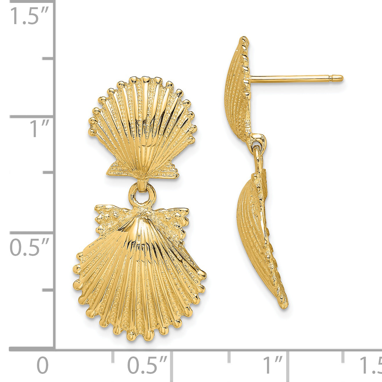 14K Double Scallop Shell Dangle Earrings