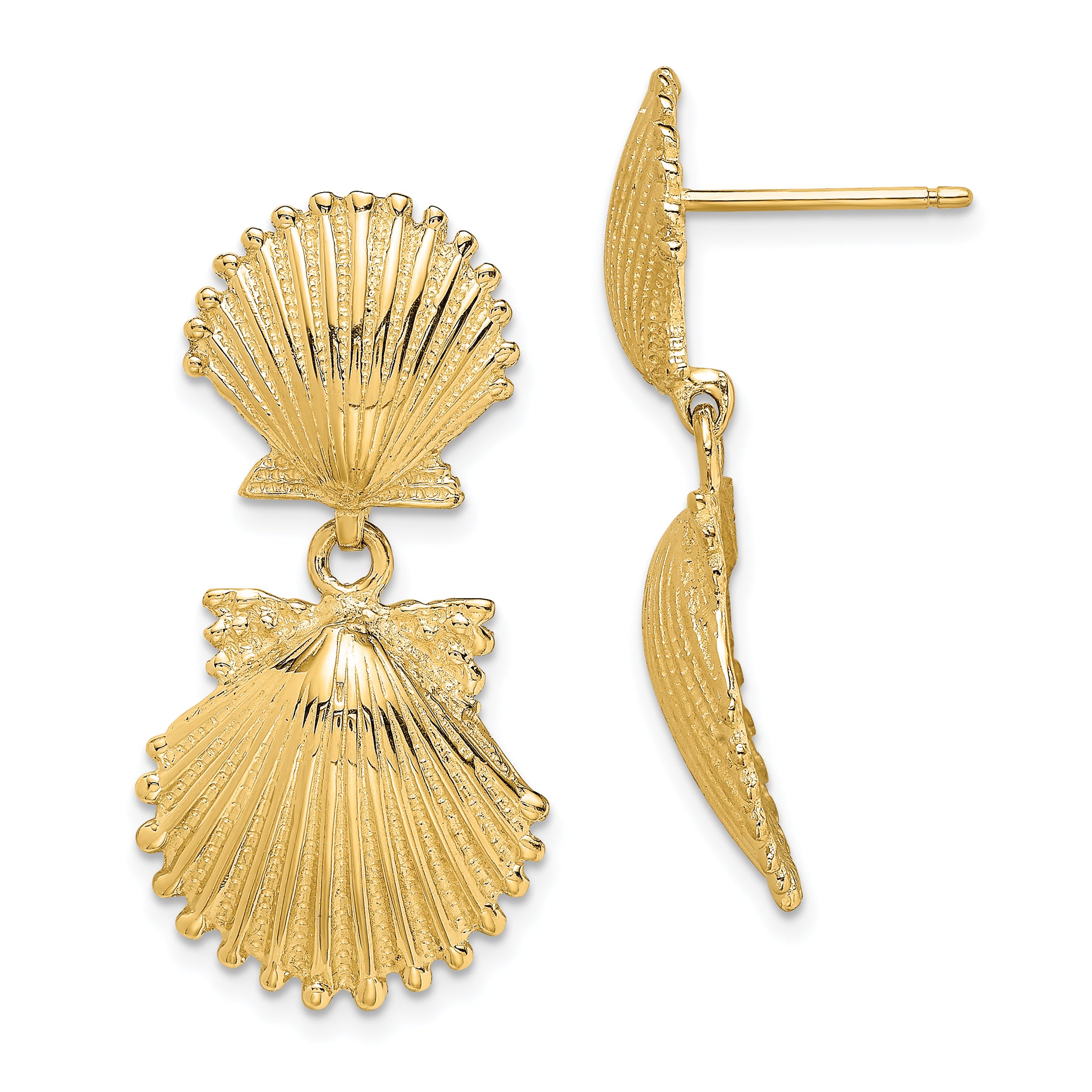 14K Double Scallop Shell Dangle Earrings