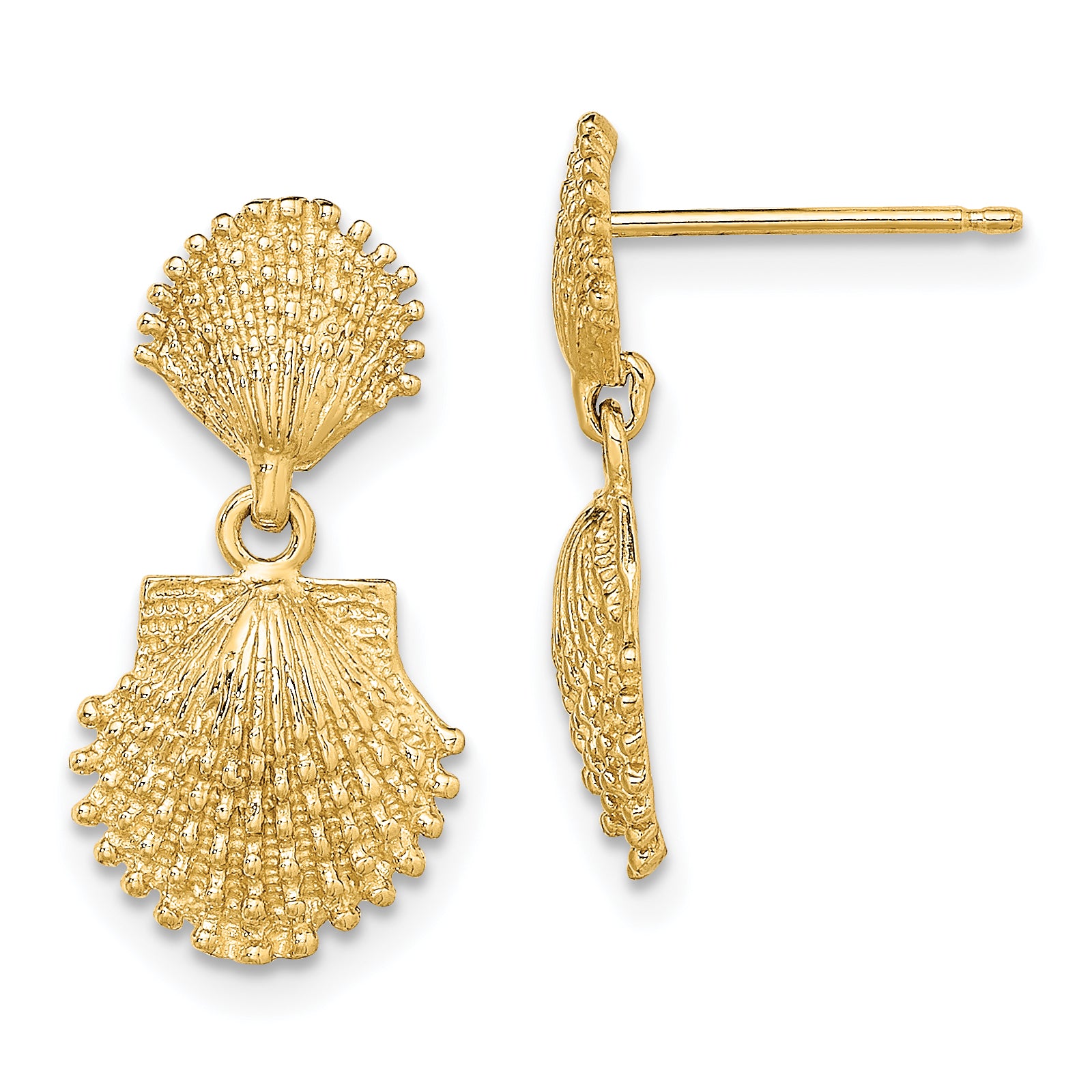 14K Double Beaded Scallop Shell Dangle Earrings