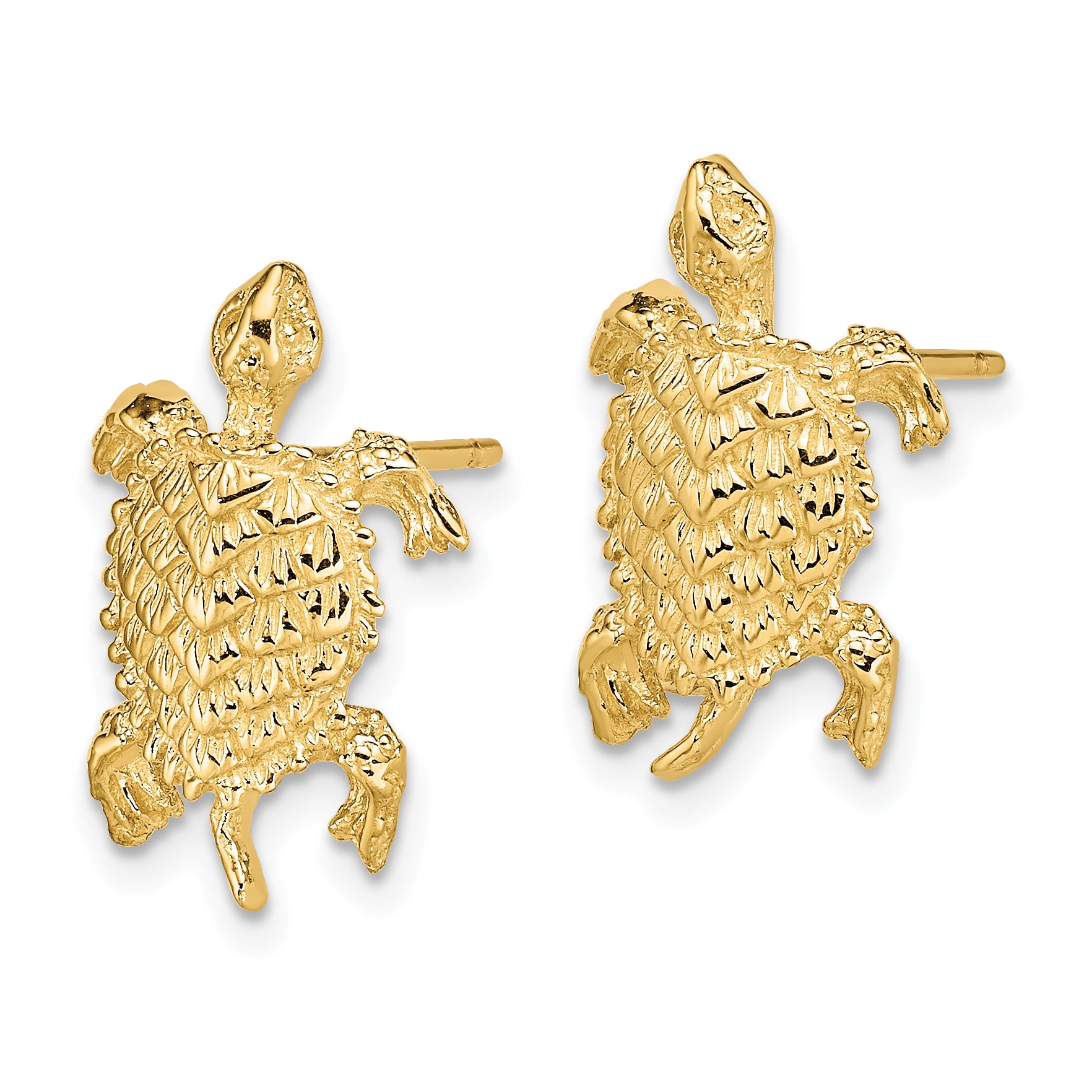 14K Land Turtle  Textured Post Earrings