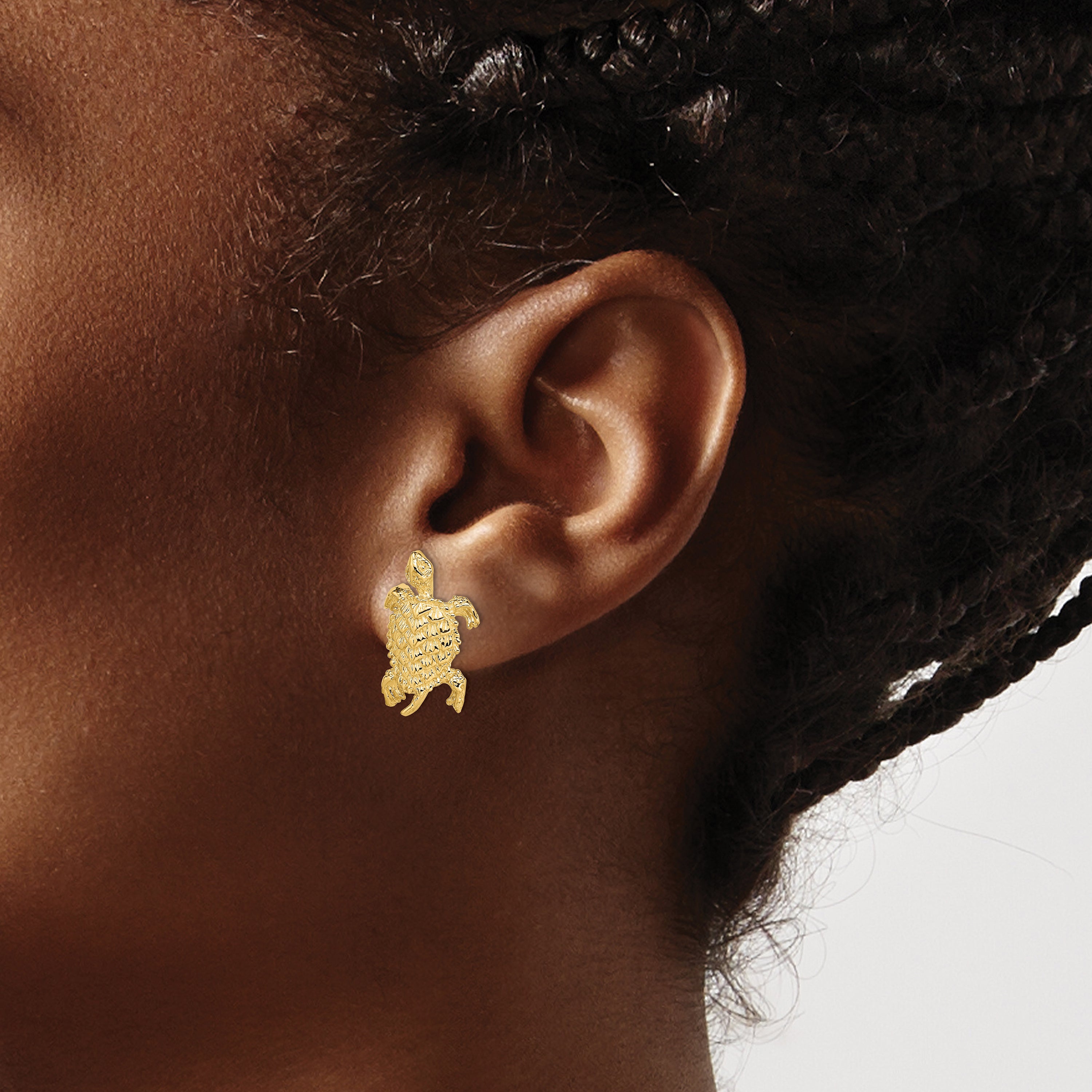 14K Land Turtle  Textured Post Earrings