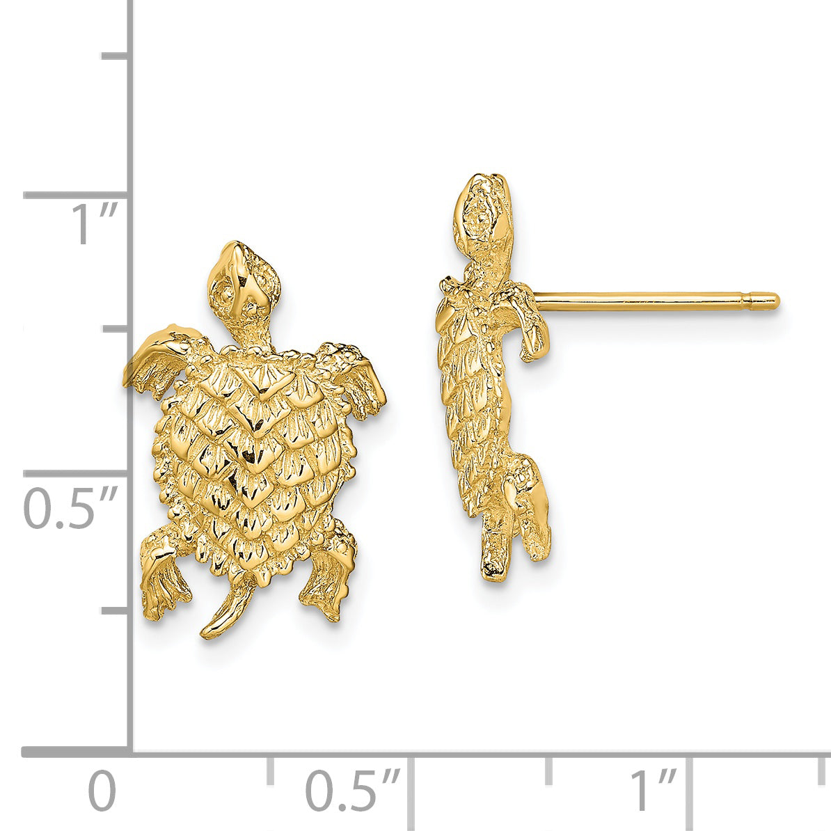 14K Land Turtle  Textured Post Earrings