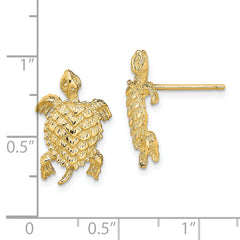 14K Land Turtle  Textured Post Earrings