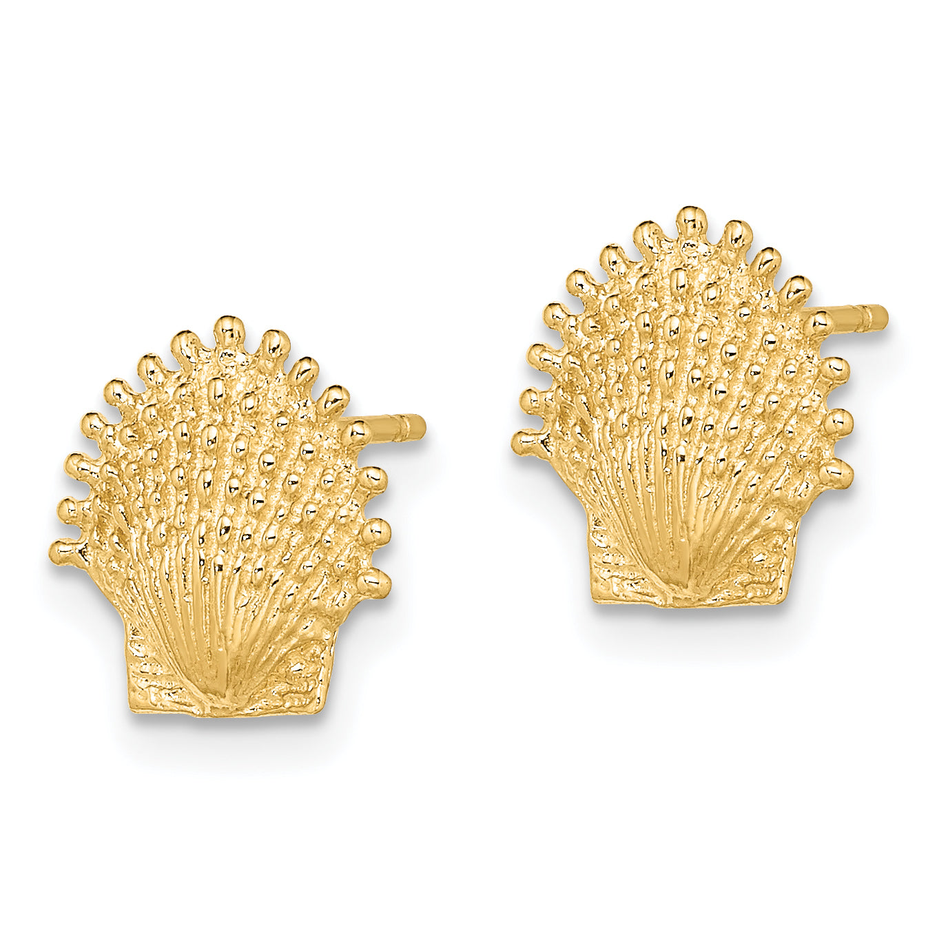 14K Beaded Scallop Shell Post Earrings