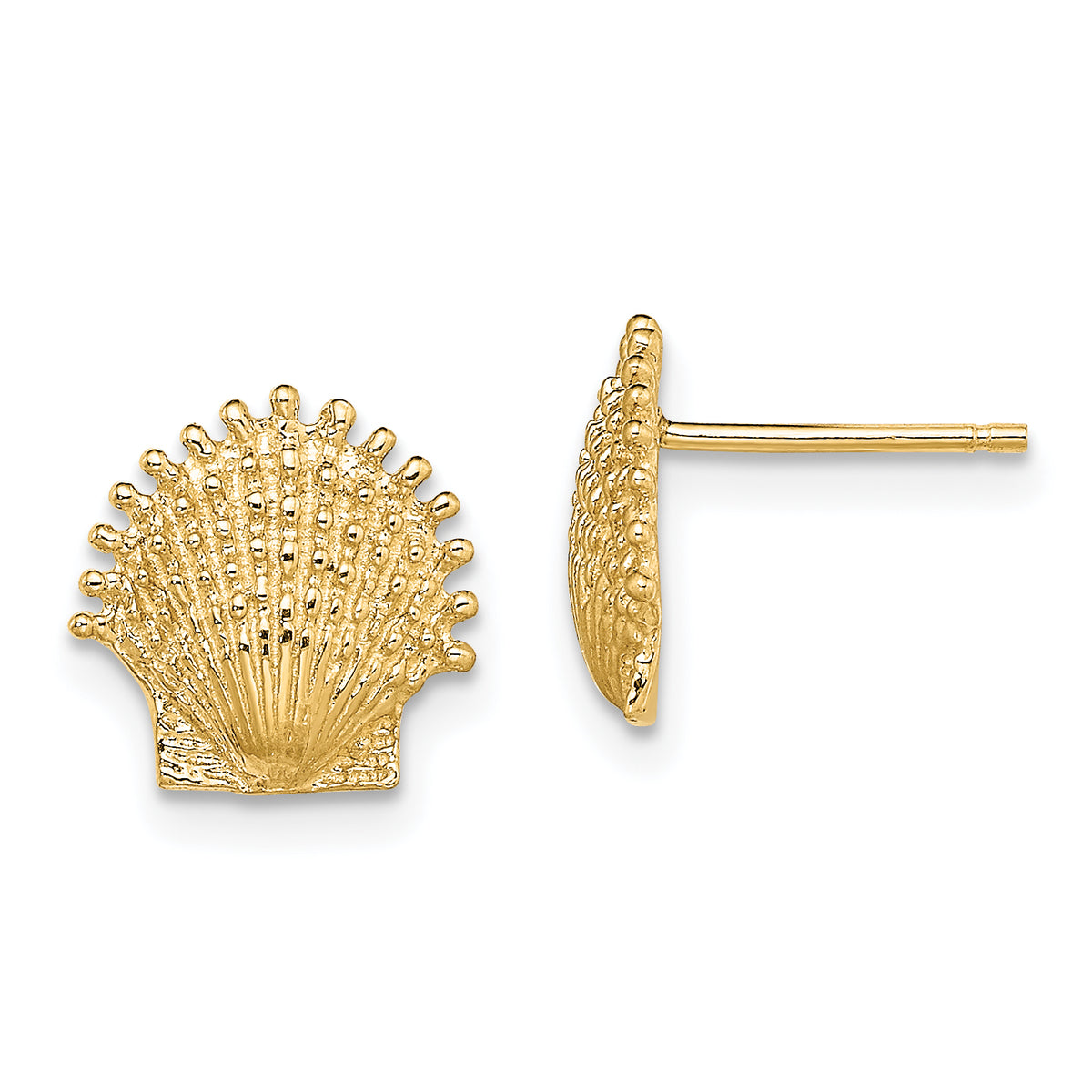 14K Beaded Scallop Shell Post Earrings