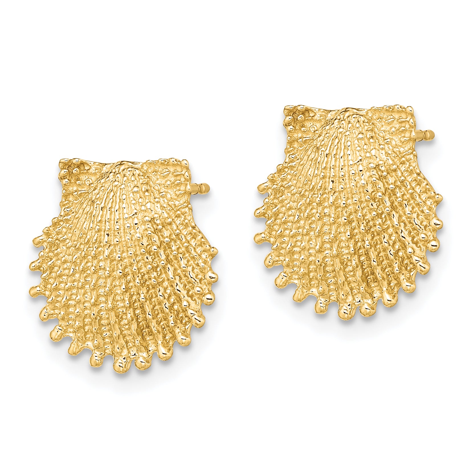 14K Beaded Scallop Shell Post Earrings