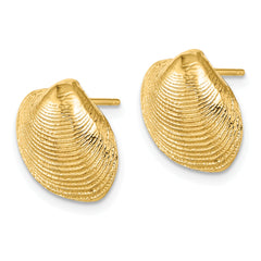 14K Clam Shell Post Earrings