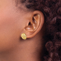 14K Clam Shell Post Earrings