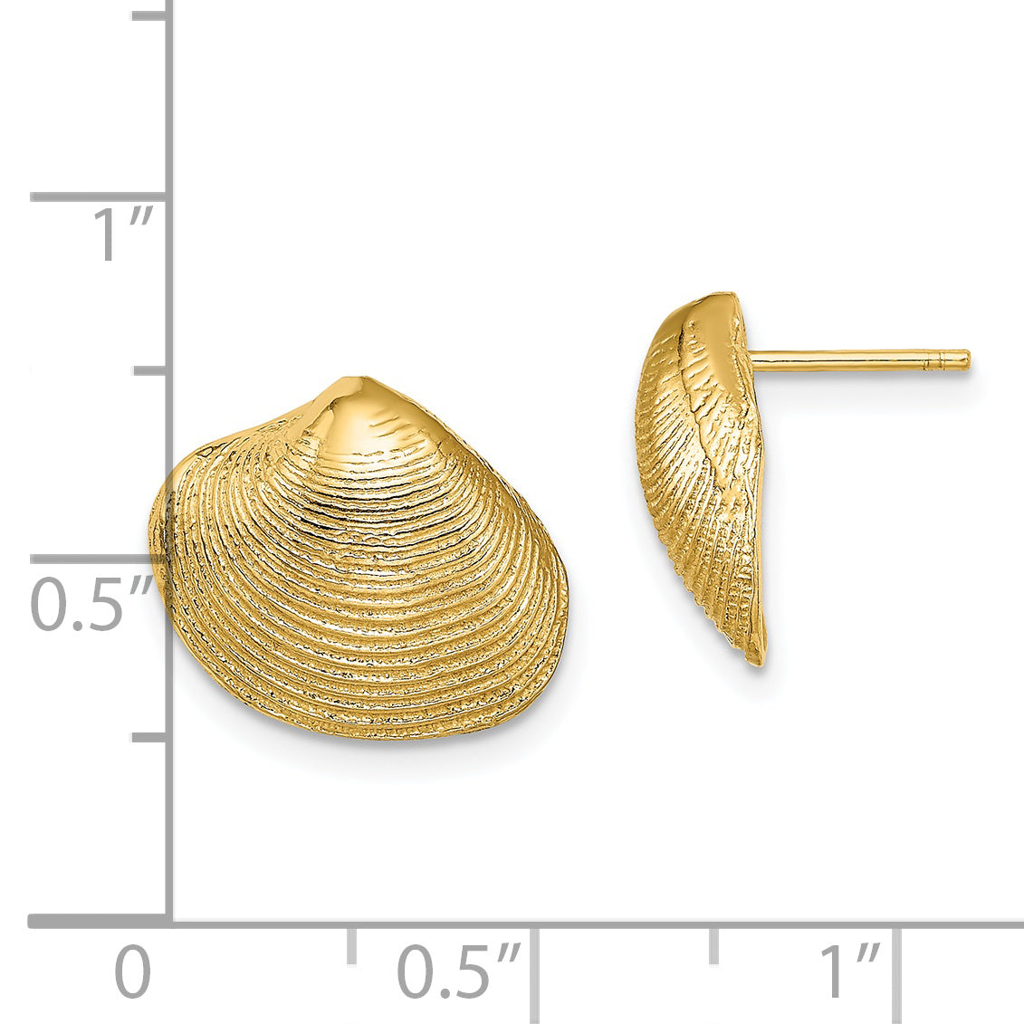 14K Clam Shell Post Earrings