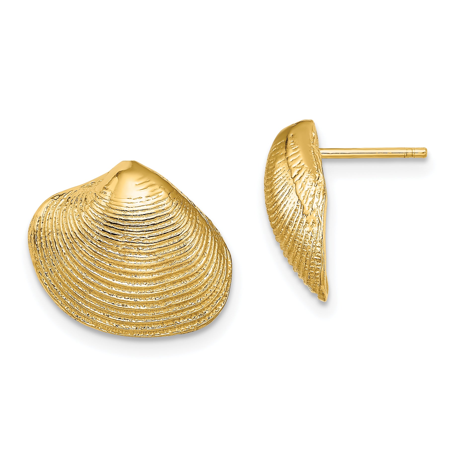 14K Clam Shell Post Earrings