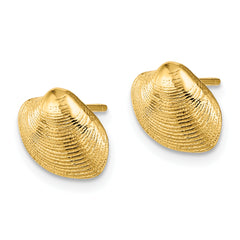 14K Clam Shell Post Earrings