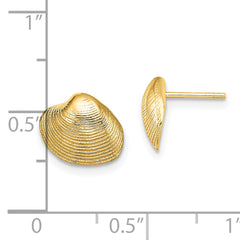 14K Clam Shell Post Earrings