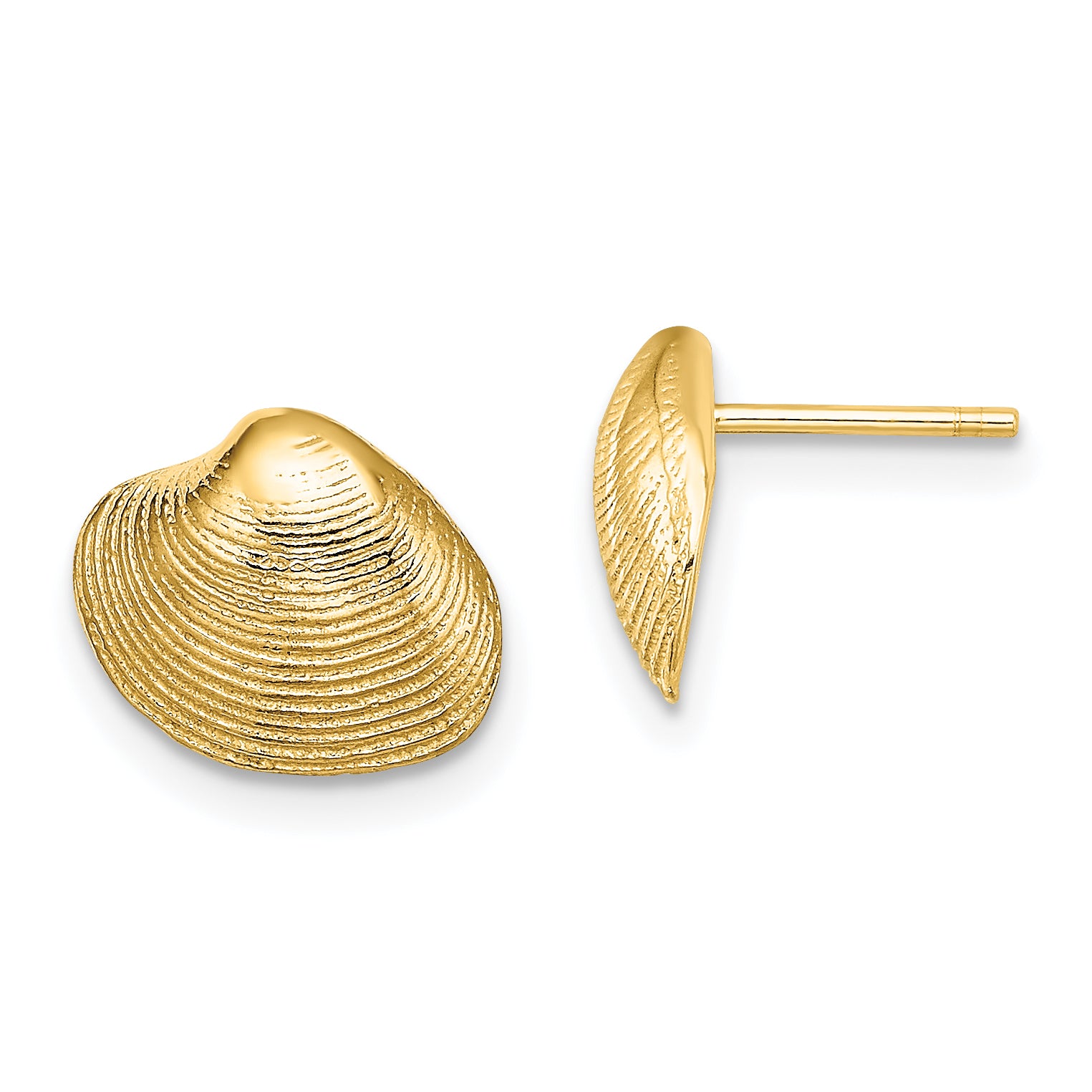 14K Clam Shell Post Earrings