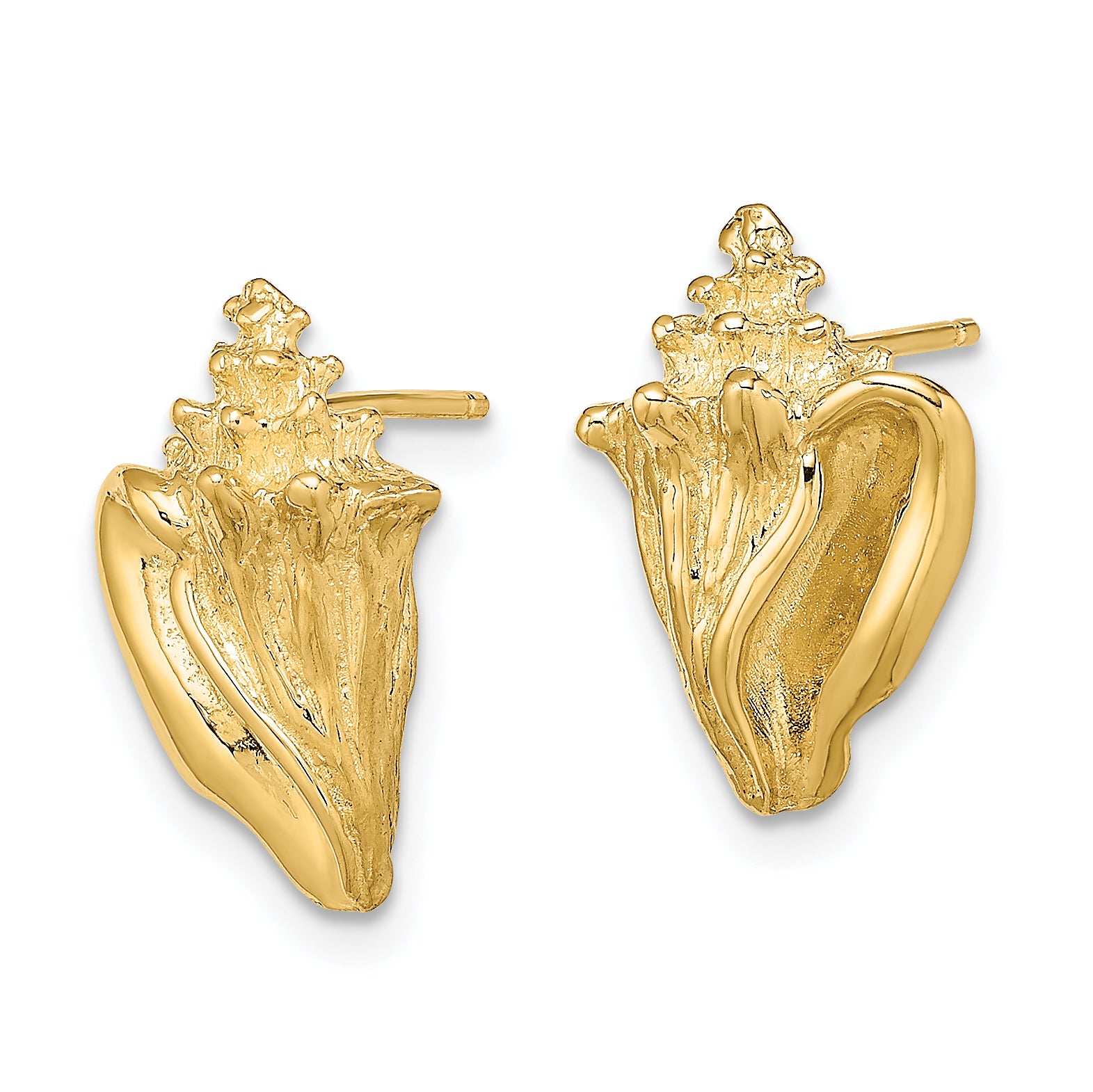 14K 2-D Conch Shell Post Earrings