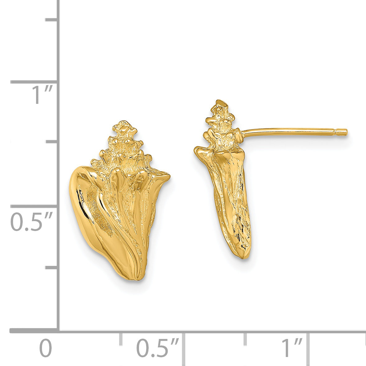 14K 2-D Conch Shell Post Earrings