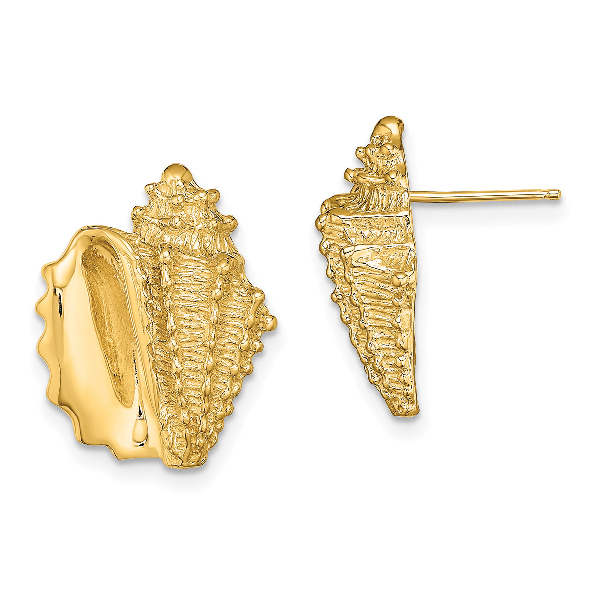 14K 2-D Conch Shell Post Earrings